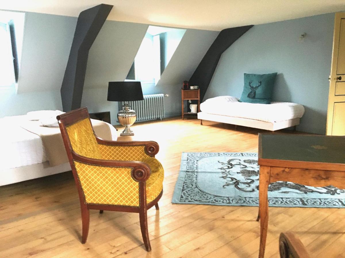 Villeny シャトー デ ラ ジロディエール Bed & Breakfast エクステリア 写真